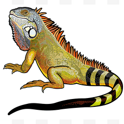 大森林卡通背景图片_绿鬣蜥