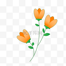 可爱橘黄色花瓣春天花朵