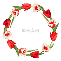 红色和白色郁金香的装饰元素。