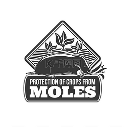农业害虫防治的鼹鼠保护媒介图标