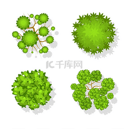 公园的图标图片_树木和灌木的顶视图。