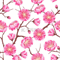 春天的花瓣图片_与樱花或樱花的无缝模式。