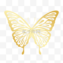 金色镂空花边线稿蝴蝶