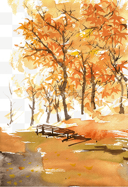公园树林图片_金色的秋天