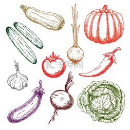 农业绿色图标图片_成熟的秋季南瓜和西红柿、绿色松