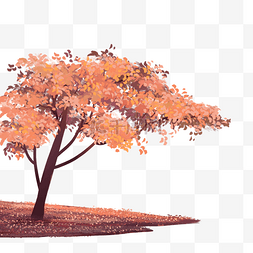 秋季植物树木树叶