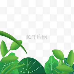 绿植植物插画绿色