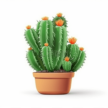 天然 素材 極上 寿老人 仙人688グラム ʙɪᴢᴀʀʀᴇ ᴘʟᴀɴᴛ ｜ 碧厳玉Gymnocalycium castellanosii ssp