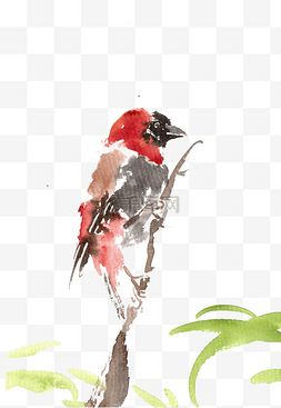 彩色水墨画鸟图片_枝头的红鸟