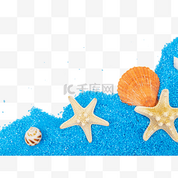 海滩贝壳海星图片_蓝色沙子贝壳