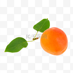 黄杏图片_夏天水果黄杏