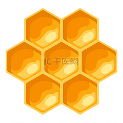 蜜蜂多角度图片_蜂窝的插图商业食品和农业的形象