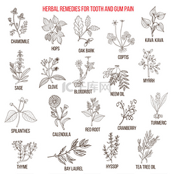 疼痛的图片_牙齿和牙龈疼痛的最佳草药疗法