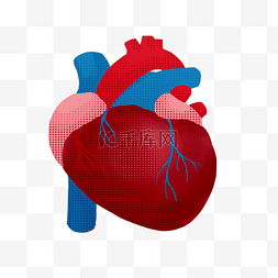 医疗人体组织器官图片_人体组织器官心脏医疗医学健康