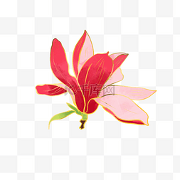 红色花卉玉兰水彩金线