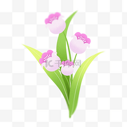 简约植物粉色图片_春季春天植物简约潮流粉色灯笼花