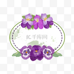 椭圆的花边图片_三色堇花卉水彩椭圆边框