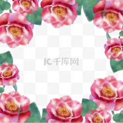 茶花镯子图片_山茶花水彩花卉粉色装饰边框