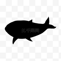 鱼剪影游动的鲸鱼
