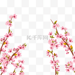 春天唯美的光效樱花枝条