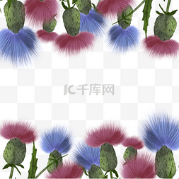 紫色水彩长方形图片_蓟花卉水彩天然边框