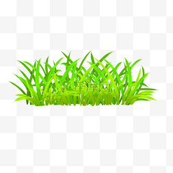 绿色植物草丛