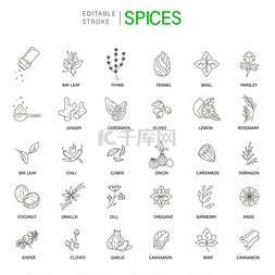 调味食物图片_香料和香草的矢量图标和标志。