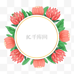 普罗蒂亚花卉水彩圆形边框