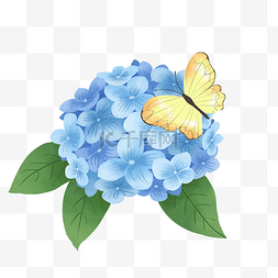 蓝色植物花卉图片_蓝色绣球花和蝴蝶