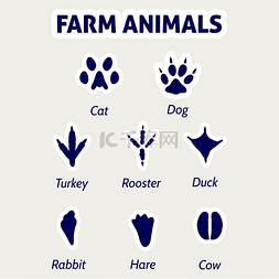 猪脚图片_农场动物脚印贴纸白色背景上的农