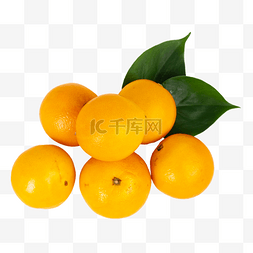 新鲜柑橘图片_鲜橙蜜橘有机水果