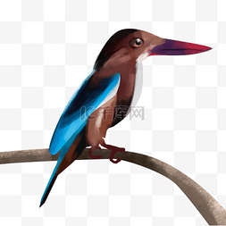 鸟嘌呤图片_一只鸟站在树枝上水彩鸟类动物