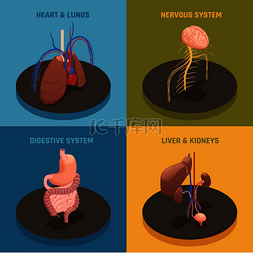 心肺复苏流程图图片_人体内部器官解剖学 4 等距图标概