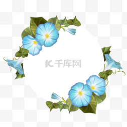 牵牛图片_水彩牵牛花卉几何边框