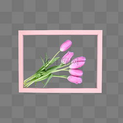 创意插花图片_创意摄影图花朵插花