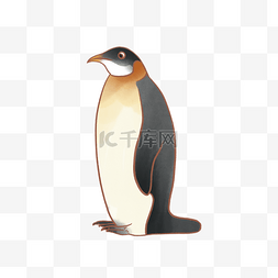 南极冰层图片_水彩动物企鹅