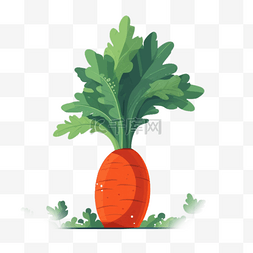 手绘蔬菜胡萝卜图片_胡萝卜扁平插画手绘免抠元素