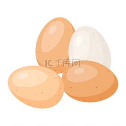 煮熟的蛋图片_鸡蛋的插图。
