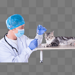 小猫和图片_医生和猫白天男医生和猫室内吸药