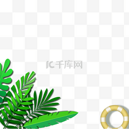 热带绿色龟背竹叶子
