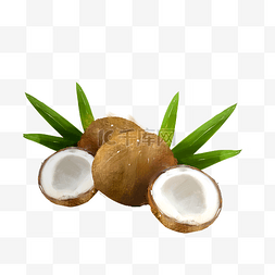 热带水果椰子