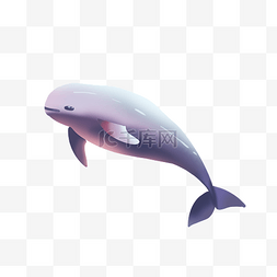 紫色江豚海豚