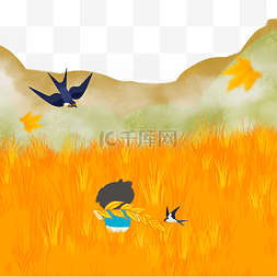 金色燕子图片_芒种节气金色小麦收获丰收秋天稻