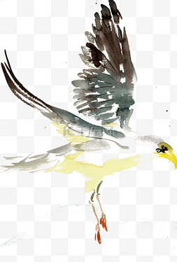 河滩素材图片_展翅的小鸟