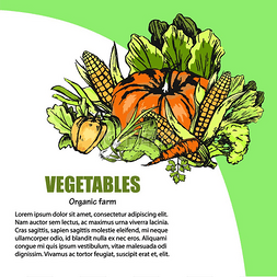 附近有文本信息的新鲜蔬菜分类。