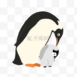 亲子动物企鹅