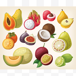 fruta图片_uppsättning av exotisk frukt