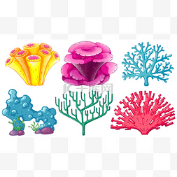 装饰卡通图像图片_不同类型的珊瑚礁