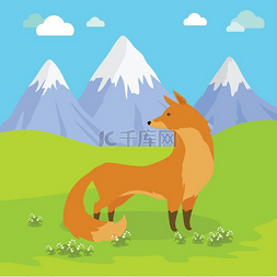 大海草山图片_红狐狸站在山中的草地上。红狐狸