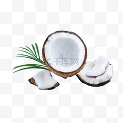 椰子食品摄影图圆形